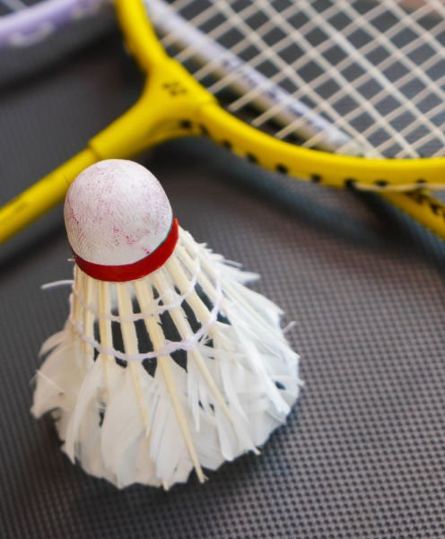 Badminton racket and shuttlecock