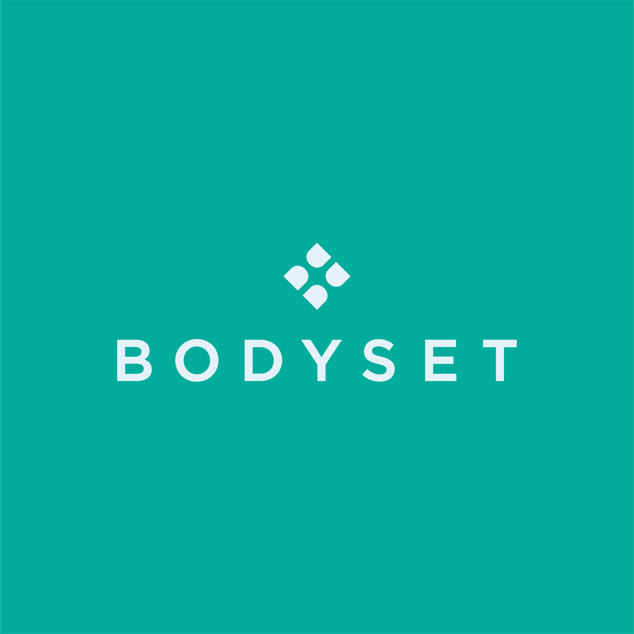BODYSET